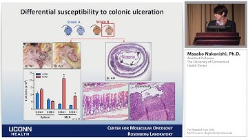 Modulation of Gut Microbiome in Mice with Differential Susceptibility to Colonic Ulceration