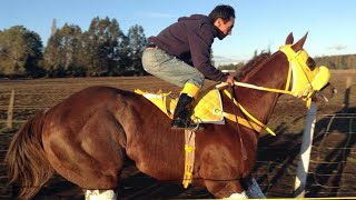 El Candelito - Sebastián Almendras El Cuarto De Milla Corridos De Caballos