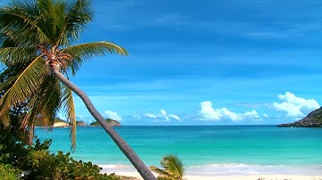 سورة الشورى بصوت جميل للشيخ محمد جبريل مع اصوات الطبيعه لراحه نفسيه لا توصف وللاسترخاء والتدبر