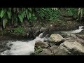 Calm River Sounds for Meditation in Nature – Deep Relaxation