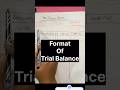 Format TRIAL BALANCE | Comment below and tell me the balance of the last one!"👇