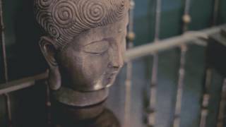 Good Karma center for joy