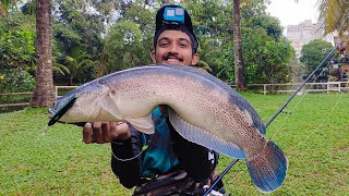 Vaha Fishing | Kerala Fishing Videos | Toman Fishing | Snakehead Fishing | Jabbers Honcho Pencil |