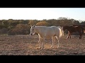 Majestic Ranch in Kerrville, Texas!!