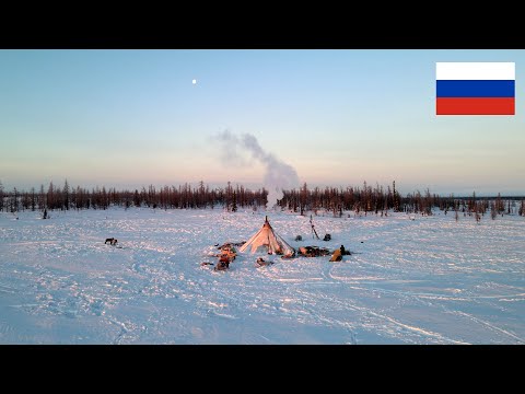 Video: Klima ng Tundra sa Russia at North America