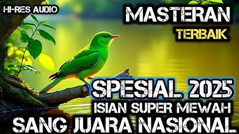 TERAPI UNTUK SEMUA JENIS BURUNG , SUARA GEMRICIK AIR , MASTERAN TERMEWAH SPESIAL 2025 || SINGO EDAN