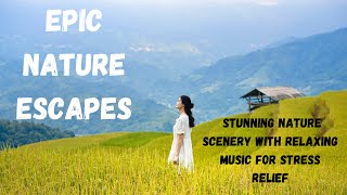 Nurturing Harmony: Enchanting Nature Scenery and Gentle Melodies for Deep Relaxation #2023