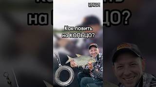 Как поймать на КОЛЬЦО? Полное руководство📝🎣 #снастиздрасьте