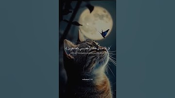 الذي خلقني فهو يهدين | قران كريم بصوت القارئ ياسر الدوسري | قران كريم بصوت جميل جدا# راحة نفسية
