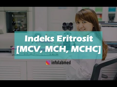 Indeks Eritrosit [MCV, MCH, MCHC]