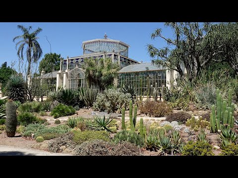 Vidéo: Démarrer un jardin botanique : découvrez ce que font les jardins botaniques