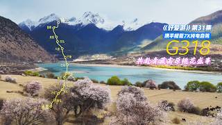 🚗Road trip on China's G318 National Highway3