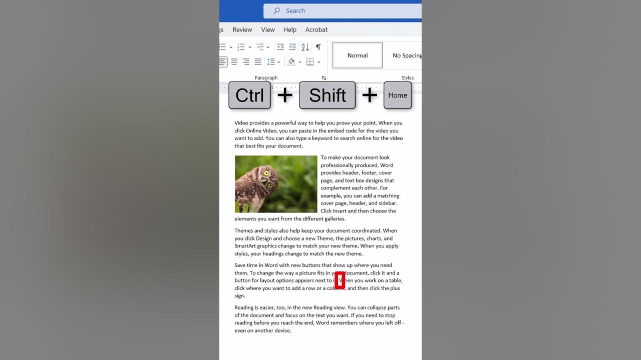 5 More Keyboard Shortcuts to Select Text in Microsoft Word YouTube