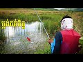 ត្រីខាំច្រើនមែន | Fishing Sneakhead Fish