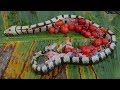 Cooking Technique: Cooking Fried Snake with Roasted Peanut - Fried Snake Recipe