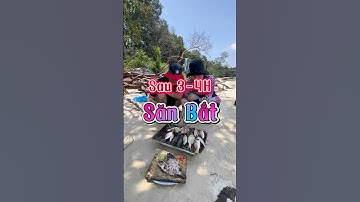 Sau 3-4h săn bắt thì bãi biển hoang sẽ là của gia đình #ductrainghiem #phuquocisland #fishing