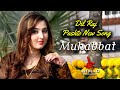 Muhabbat euo dase kar de  dil raj official song muhabbat euo dase kare de