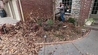 leaf removal time lapse - leaf clean up with blower- [relaxing time lapse] - (START TO FINISH)