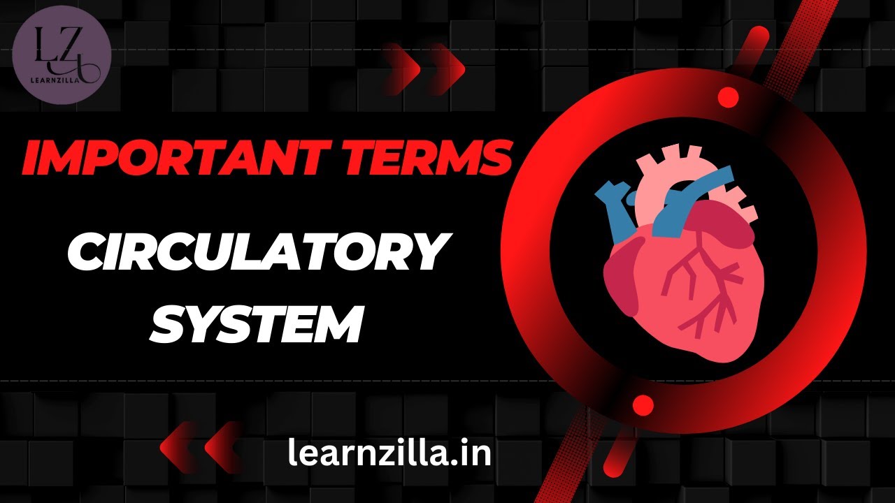 BIOLOGY IMPORTANT Questions TERMINOLOGY CIRCULATORY SYSTEM Class 