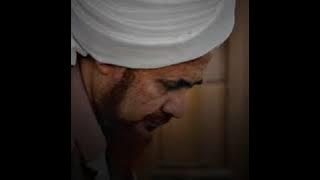 Story wa habib umar bin hafidz