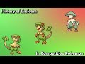 How GOOD was Breloom ACTUALLY? - History of Breloom in Competitive Pokemon (Gens 3-6)