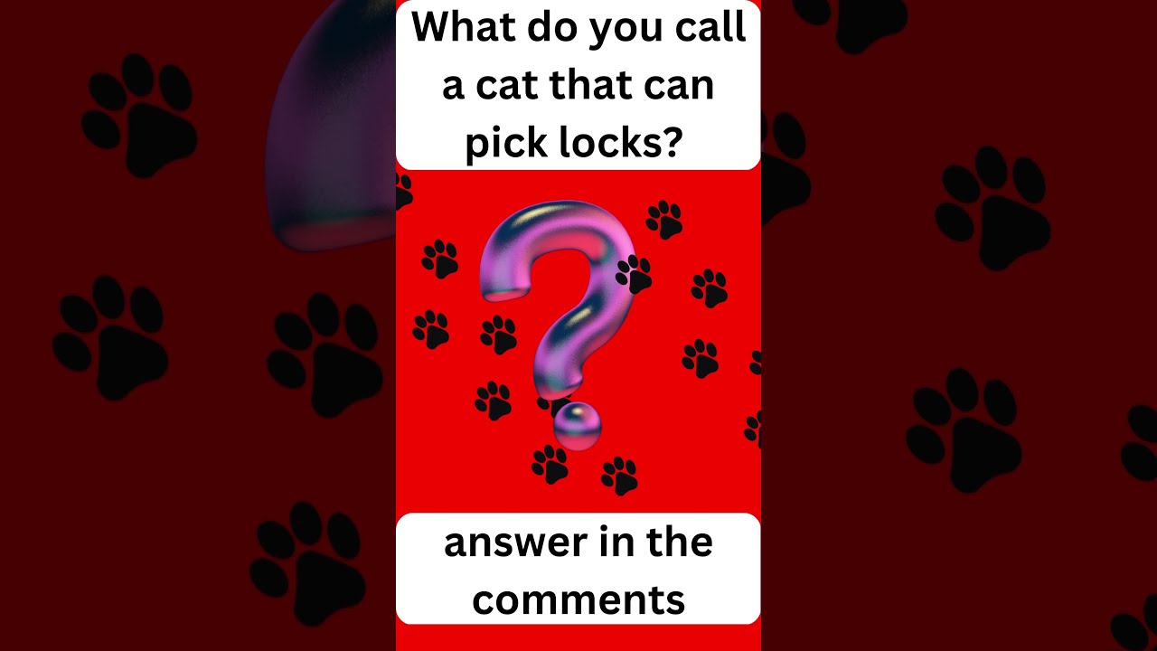 What Do You Call A Cat That Can Pick Locks YouTube What Do You Call A Cat That Can Pick Locks YouTube