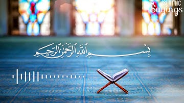 القارئ عبد الرحمن صبحى