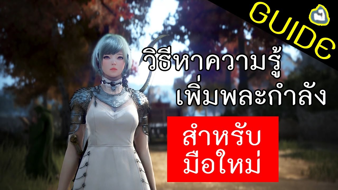 black desert ข้อมูล  New 2022  GUIDE: วิธีหาความรู้ เพิ่มพละกำลังสำหรับมือใหม่ (Black Desert Online)