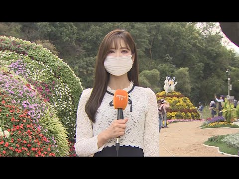 [날씨] 내륙 쾌청한 주말…동·남해안 너울 주의 / 연합뉴스TV (YonhapnewsTV)