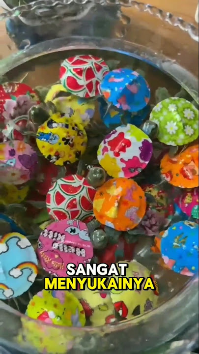 Cerita kura kura warna warni yang beruntung #mainan #hewanpeliharaan #faktaunik #kurakura