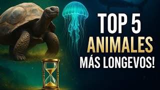 LOS 5 ANIMALES MÁS LONGEVOS DEL MUNDO LOS 5 ANIMALES MÁS LONGEVOS DEL MUNDO