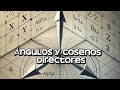 Vectores.Ángulos y cosenos directores.