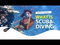 What is scuba diving