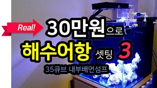 30만원으로 35큐브 해수어항 셋팅 - 3탄 (해수어항 만들기)