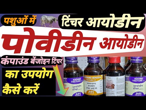 वीडियो: लाल रोवन टिंचर कैसे बनाये