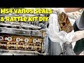 BMW E46 M54 Vanos Seals & Rattle Kit Replacement DIY