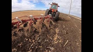 Plowing corn ground