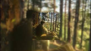 Download lagu Liana flores - rises the moon [speed up]