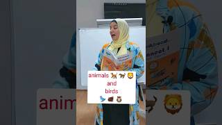 animals and birds #التأسيس #للمبتدئين #shortvideo #phonics #english #منهج_كونكت #animals