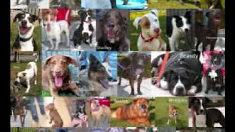 2008: Thank you for a good year.