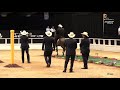 XIV Mundial CABALLOS CASTRADOS PASO FINO