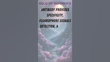 Reverse Phase Protein Array (RPPA)