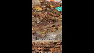 Download Lagu 🚰 LUGO | Os veciños denuncian unha AVARÍA nas canalizacións de AUGA MP3