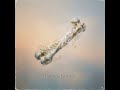 Night Sleeping Song