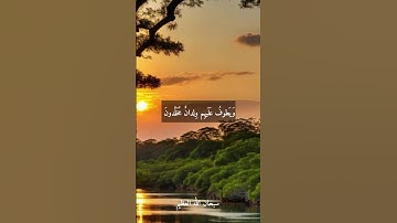 الشيخ عبد الفتاح الطاروطي --نوادر روعه اجمل ما قراء #تلاوات