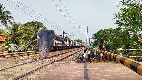 GOAT Headed EMU Local Train : Dangerous & Furious Moving Throughout Railgate