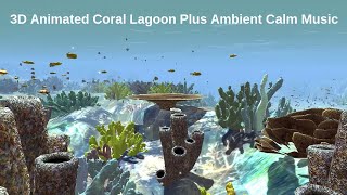 Coral Ambiance