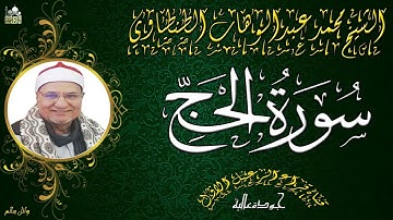من روائع الشيخ محمد عبدالوهاب الطنطاوي ماتيسر من سورة الحج