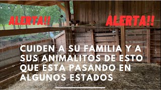 Alerta ‼️ cuiden a su familia y animalitos de esto que esta pasando aquí en USA