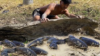 Awesome Fishing In Dry Season 2020 - Best Catching Fish From Secret Hole Under Big Tree